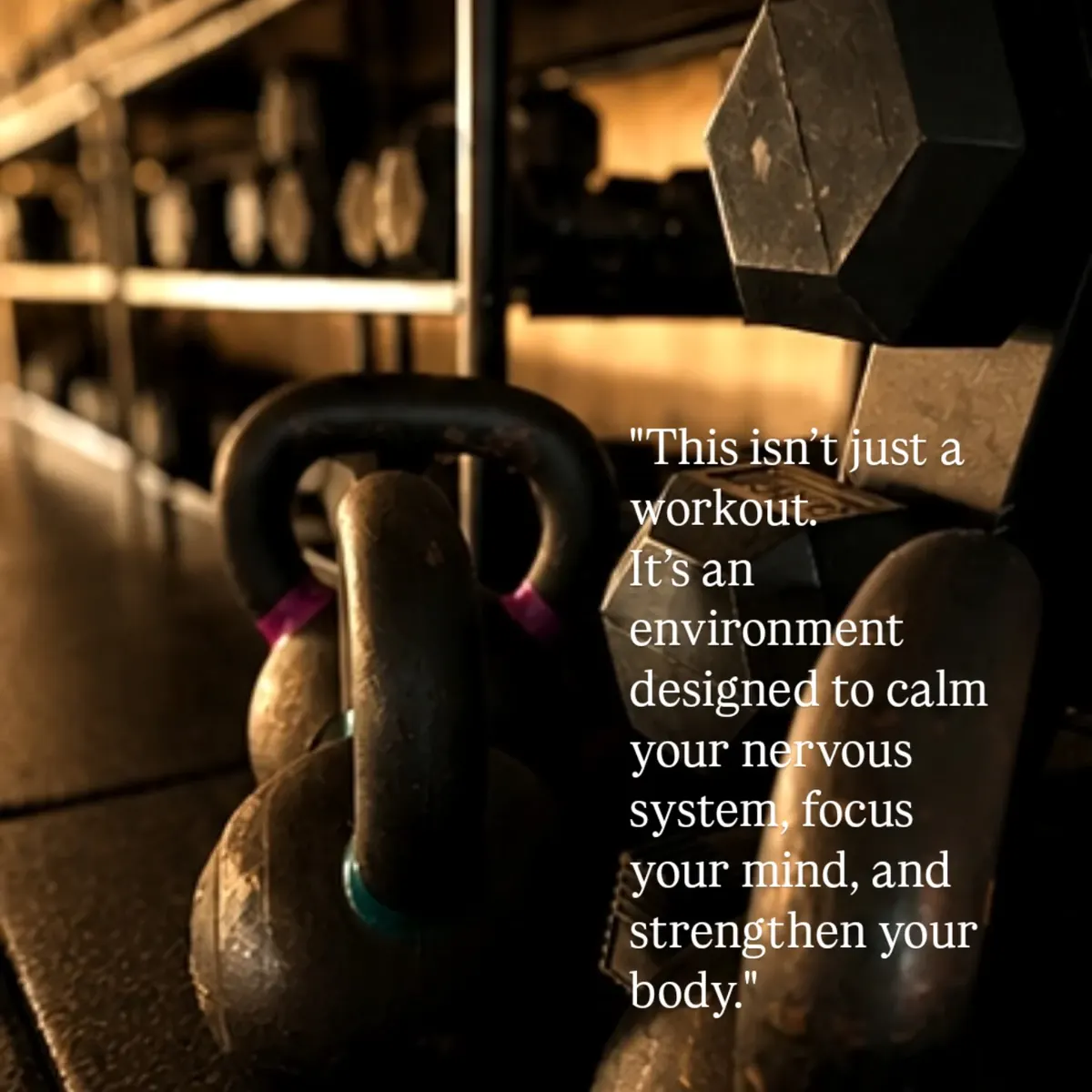 Life Changer Studio kettlebells and dumbbells strength equipment